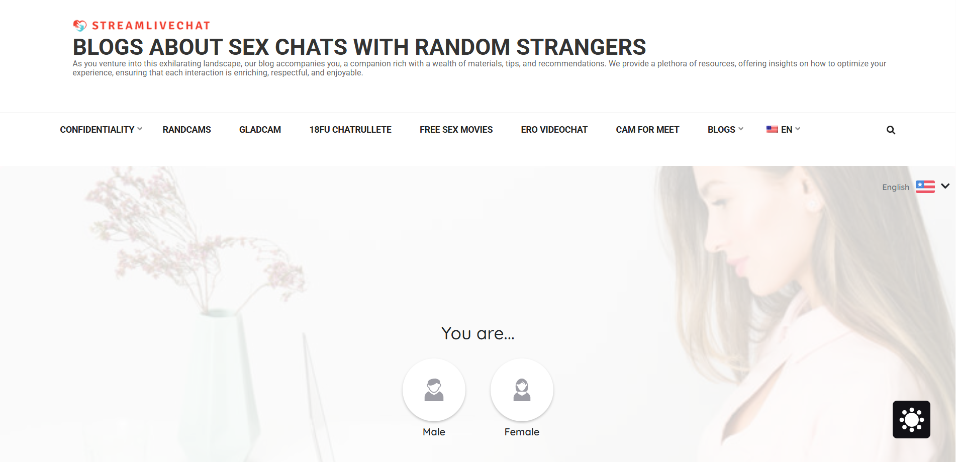 Streamlivechat.com Streamlivechat.com